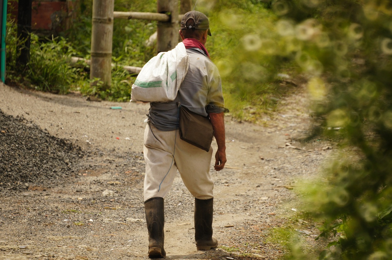 agricultor, el, campo